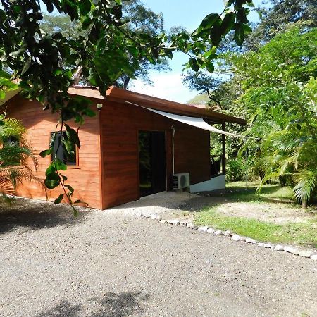 Villasjungle 2 Samara Ngoại thất bức ảnh