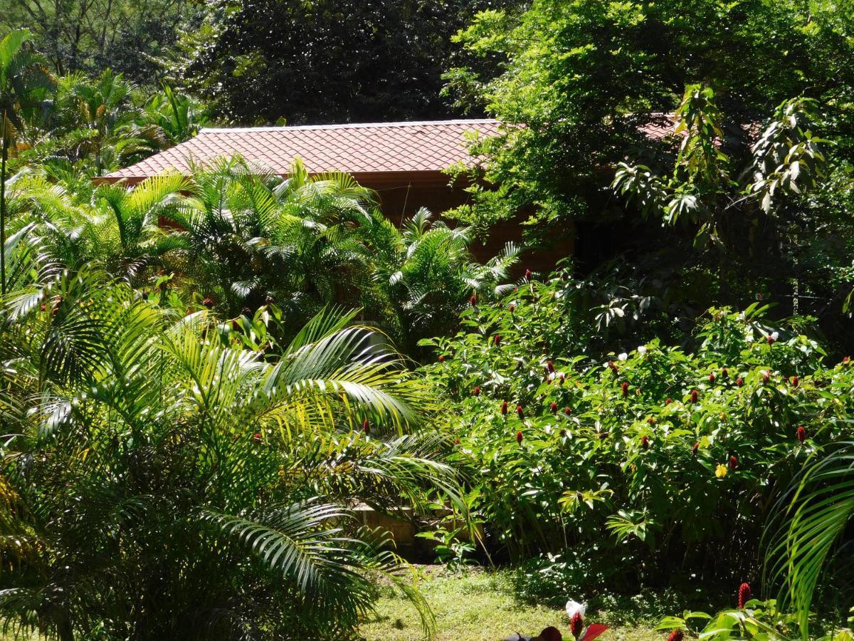 Villasjungle 2 Samara Ngoại thất bức ảnh